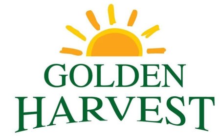 ২০০ জনকে চাকরি দেবে গোল্ডেন হারভেস্ট ইনফোটেক