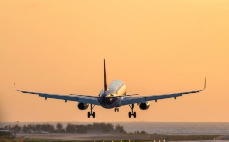 ইরানে আন্তর্জাতিক বিমান চলাচল শুরু কবে থেকে, জানা গেল