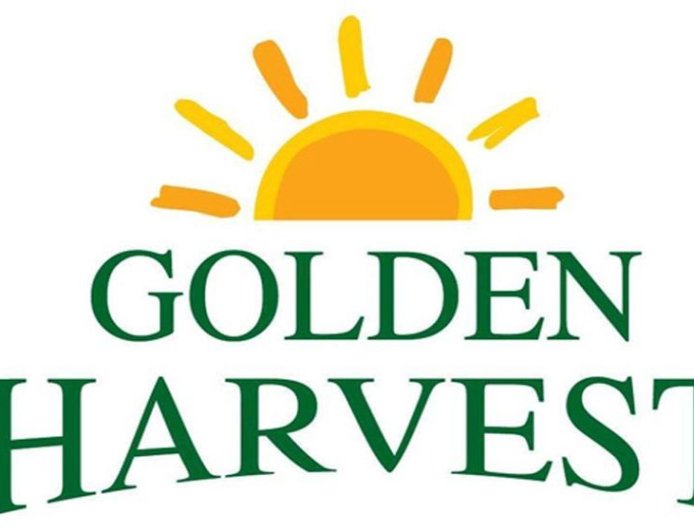 ২০০ জনকে চাকরি দেবে গোল্ডেন হারভেস্ট ইনফোটেক