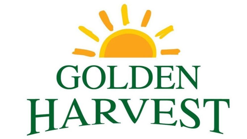 ২০০ জনকে চাকরি দেবে গোল্ডেন হারভেস্ট ইনফোটেক